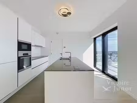 quartier delta - penthouse 3 chambres et 2 terrasses