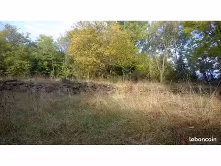 terrain 2133 m² brives-charensac