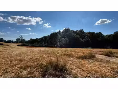 vente terrain 600 m² à martignas-sur-jalle (33127)  235 000 €
