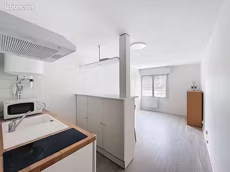 studio 1 pièce 20 m²