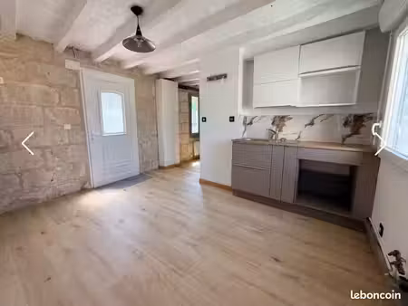 à louer – charmant studio rénové de 20 m² avec cour et cave – rigny-ussé (37)