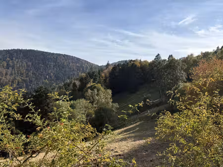 batiment / ferme sur le massif vosgien