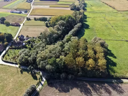 forêt
