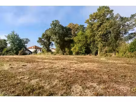 ondres - terrain - 2185 m2