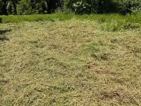 ?️ terrain exceptionnel de 900 m² avec vue sur cocoteraie ?