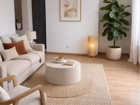 appartement t2 à vierzon