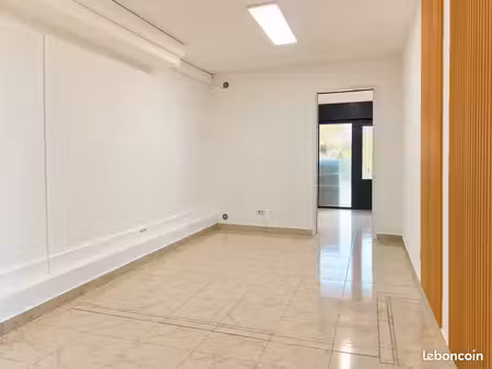 local professionnel 45m2 centre ville
