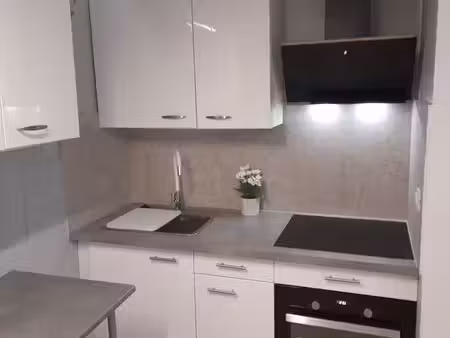 f1 bis de 34 m² entièrement rénové  avec chambre séparée
