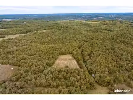 terrain truffière  bois et safranière