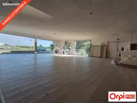 local commercial 291 m²