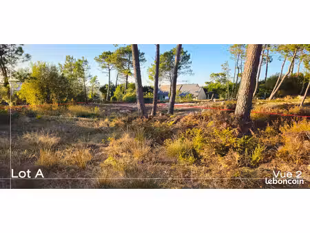 morgat – bois du kador | terrain à bâtir viabilisé de 1 301 m²