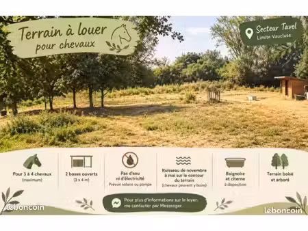 location terrain agricole pour chevaux