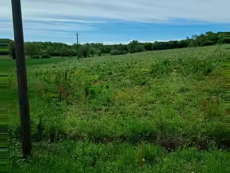 terrain agricole