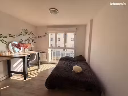 studio 1 pièce 19 m²