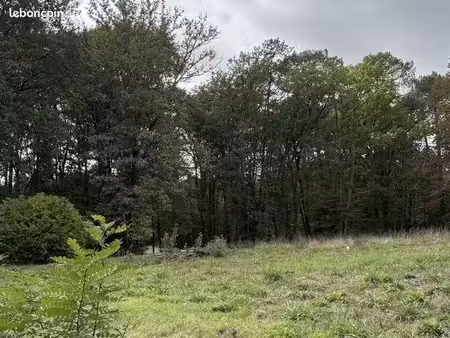 terrain 6 905 m² bonnetan