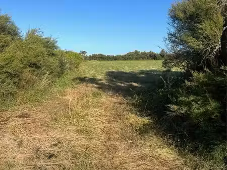 terrain naturel de 8 990 m² – valeyrac  proche de l’estuaire