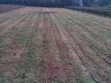 terrain agricole ou autre