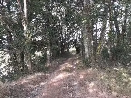 vente parcelle boisée à st martin-de-sescas