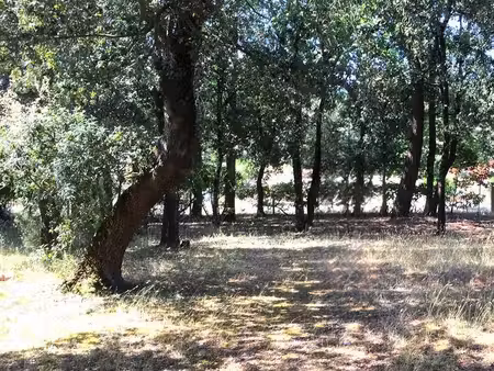terrain 864 m² le verdon-sur-mer