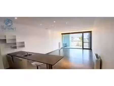 appartement à louer à albrecht rodenbachstraat 4 denderleeuw (rbx20529)