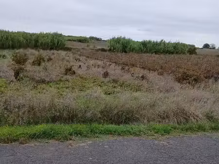 terrain agricole