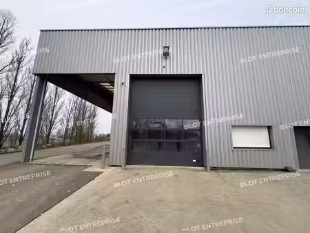 local bureaux 159 m²