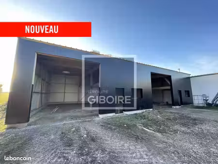 local d'activité 250 m²