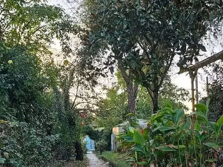 maison à fort potentiel au calme à cenon (33150)