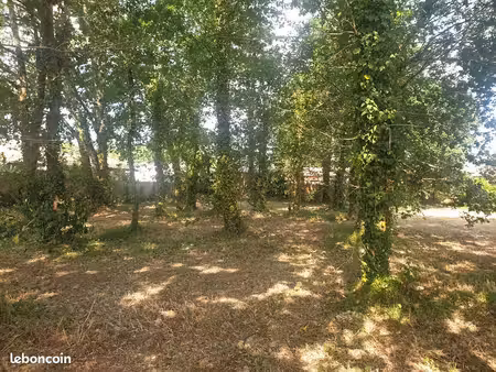 terrain 656m2