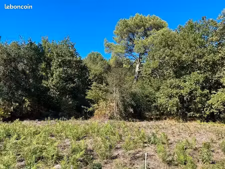terrain 1 537 m² pessac