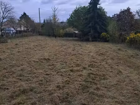 terrain arboré