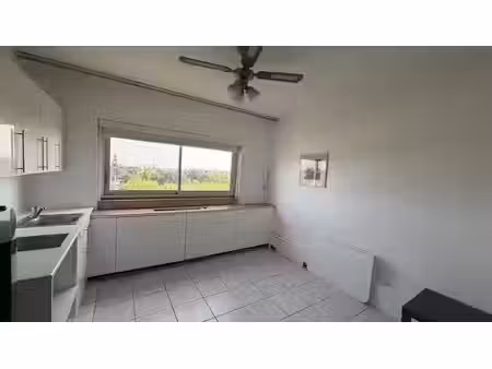 location appartement 1 pièce 18.16 m² à gradignan (33170)  550 €