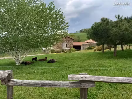 maison au cœur de la campagne stéphanoise