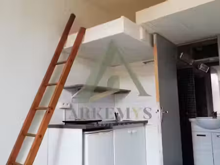 location maison 1 pièce 11 m² à toulouse (31000)  390 €