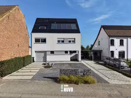 immo nuvo