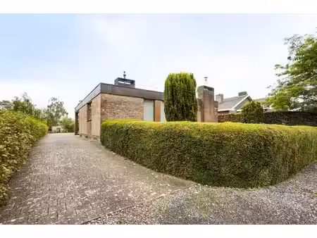 ruime alleenstaande gelijkvloerse woning met 4 slaapkamers in heestert