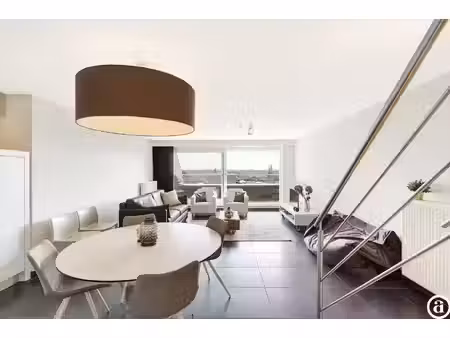 ruim duplex-appartement en zonnig terras nabij de zeedijk