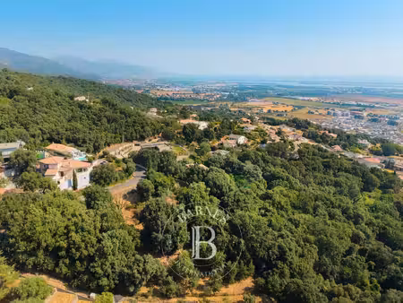 terrain borgo - 4000m²