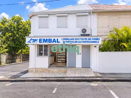 magasin avec son logement t2 à basse-terre