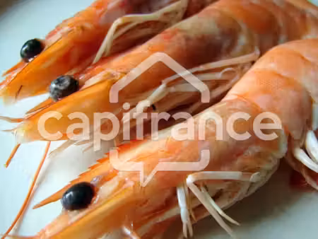 fonds de commerce à vendre le grau du roi 200m2 139 000€