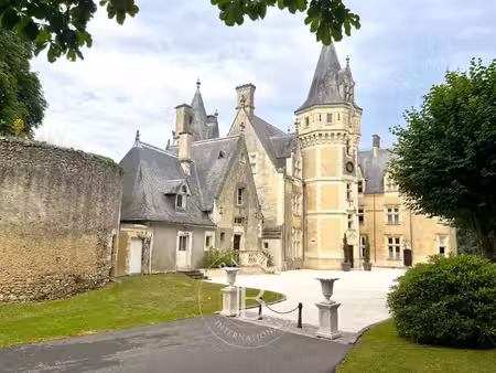 maison chateau-du-loir - 15 chambres - 680m²