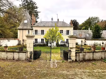 maison menetou-salon - 481m²