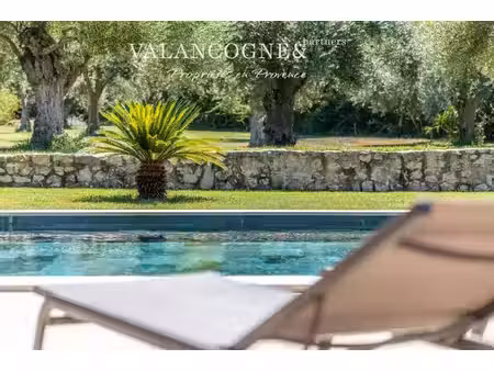 maison saint-rémy-de-provence - 9 chambres - 502m²