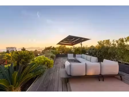 cannes basse californie toit terrasse
