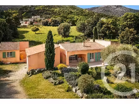 maison calenzana - 4 chambres - 157m²