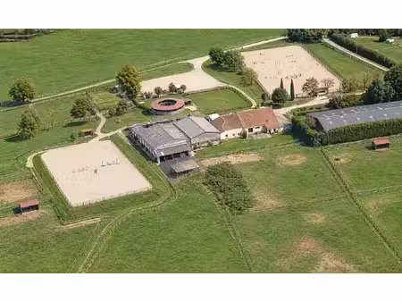centre équestre et écurie de propriétaires plus de 10 hect