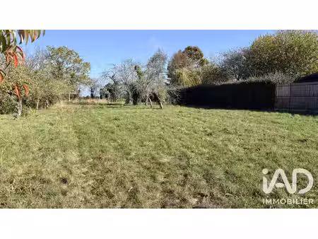 terrain à bâtir à loire-authion (49250)