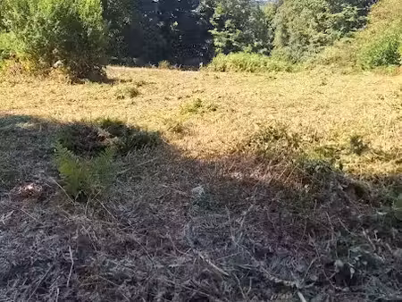 vente terrain 13400 m² à tinchebray (61800)  23 000 €