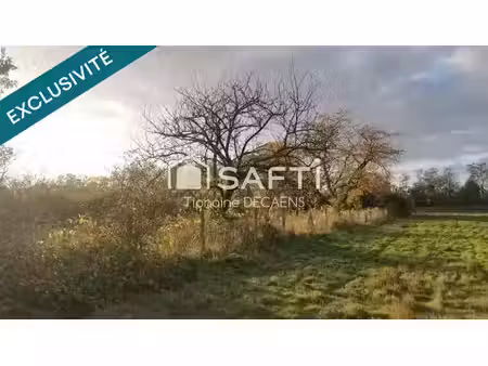 vente terrain 11570 m² à dangé-saint-romain (86220)  8 000 €