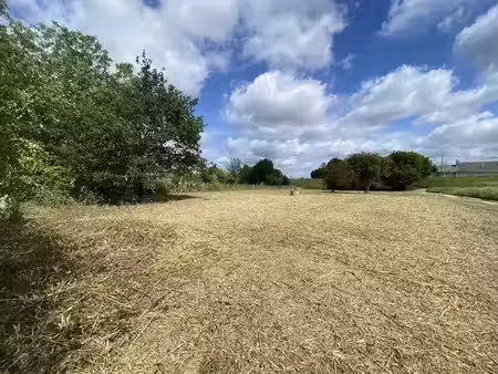 vente terrain 2052 m² à la riche (37520)  26 800 €
